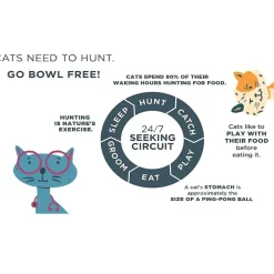 Doc & Phoebe The Hunting Snacker Feeder Toy For Cats (1 ct)