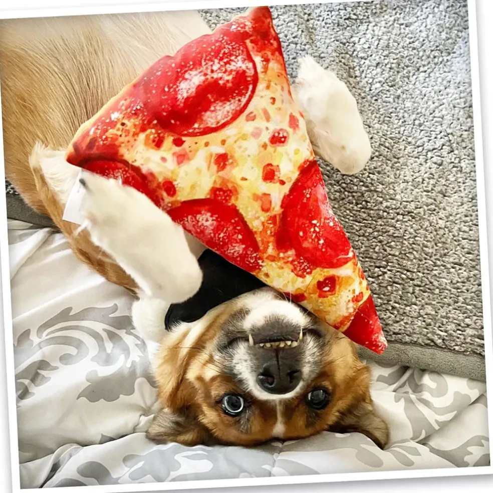 Doggijuana Get the Munchies Refillable Juananip Pizza Squeaky Plush Dog Toy, 1 count