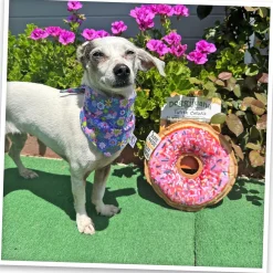 Doggijuana Tuffer Chewer Refillable Juananip Donut Tough Squeaky Dog Plush Toy, 1 count