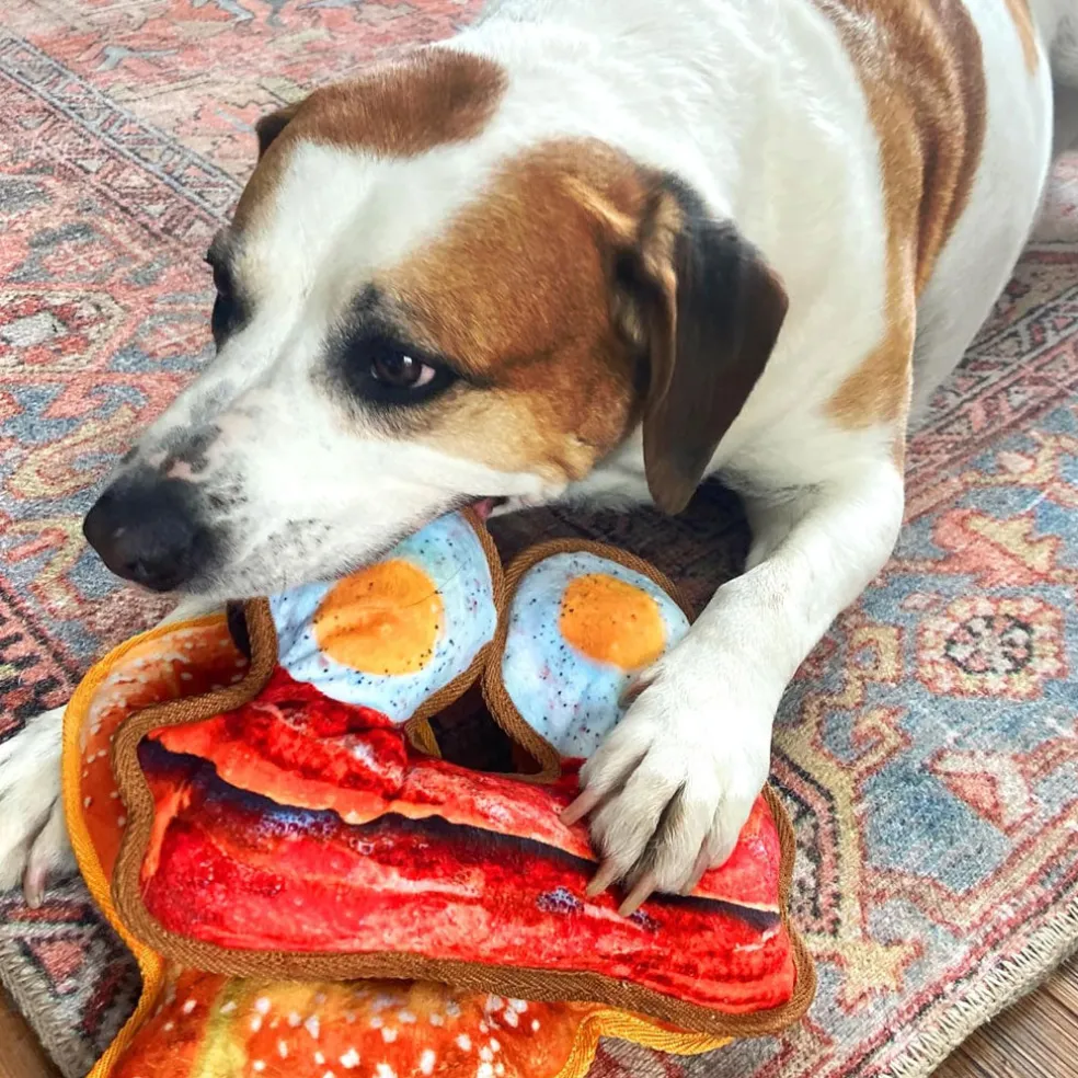 Doggijuana Tuffer Chewer Refillable Juananip Eggs & Bacon Squeaky Dog Plush Toy, 1 count