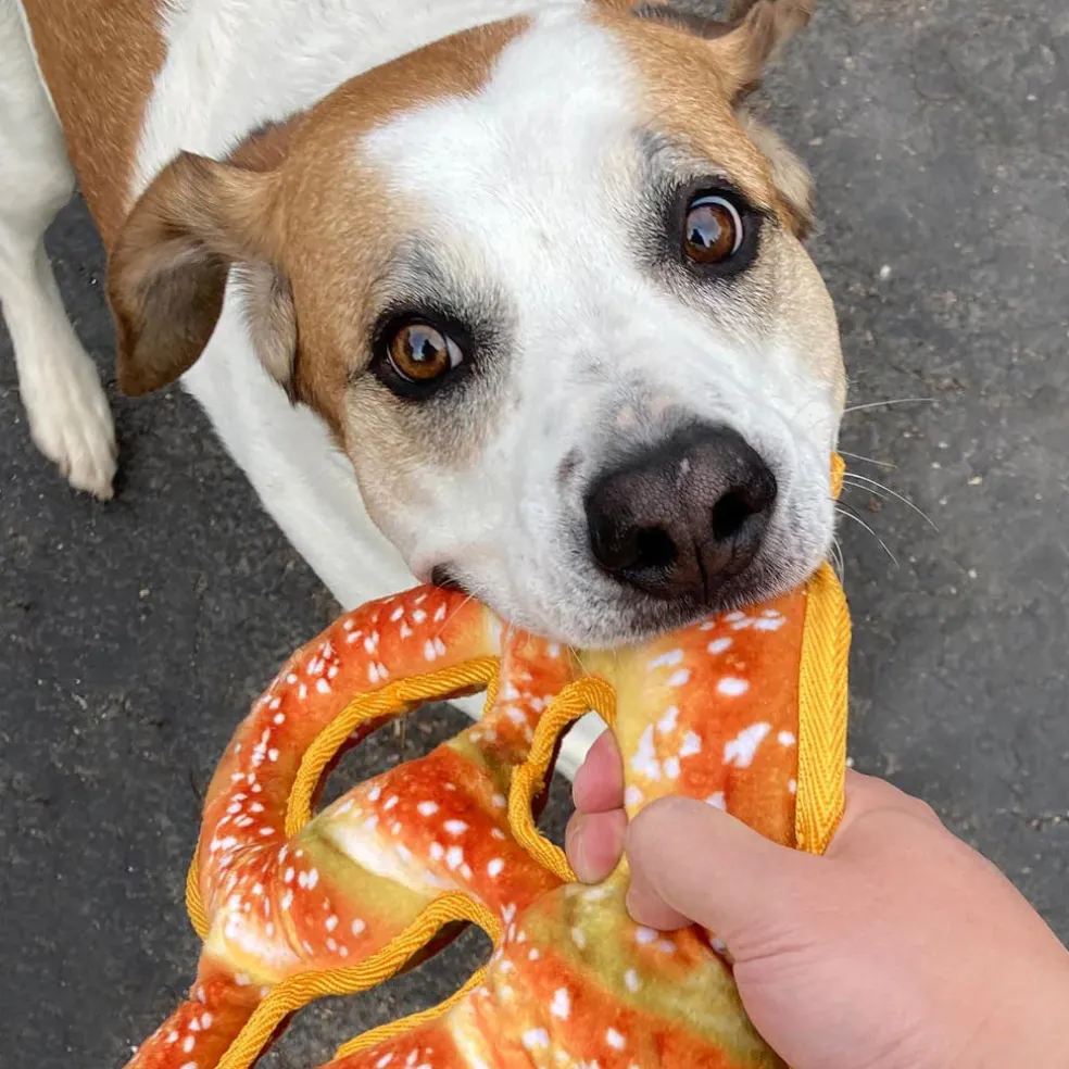 Doggijuana Tuffer Chewer Refillable Juananip Pretzel Tough Squeaky Dog Plush Toy, 1 count