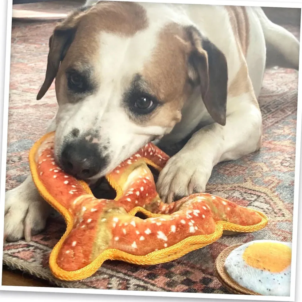 Doggijuana Tuffer Chewer Refillable Juananip Pretzel Tough Squeaky Dog Plush Toy, 1 count