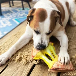 Doggijuana Tuffer Chewer Refillable Juananip Grilled Cheese Tough Squeaky Dog Plush Toy, 1 count