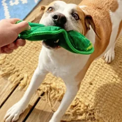 Doggijuana Tuffer Chewer Refillable Juananip Dill Pickle Tough Squeaky Dog Plush Toy, 1 count