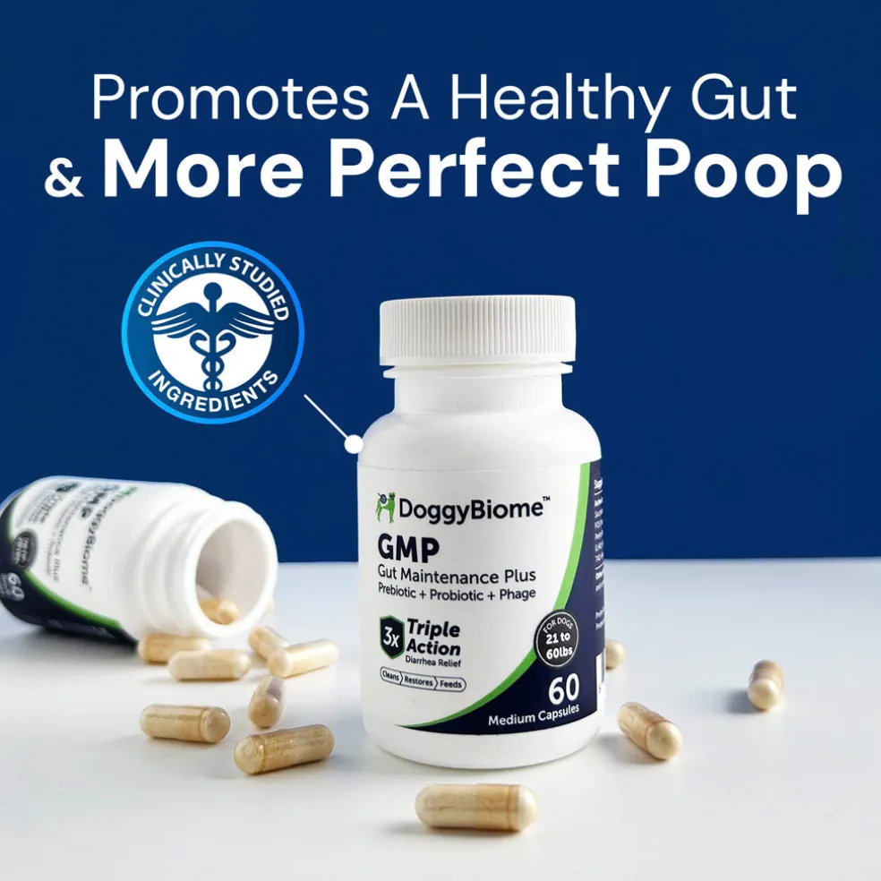 Doggy Biome GMP Gut Maintenance Plus for Dogs, 60-count