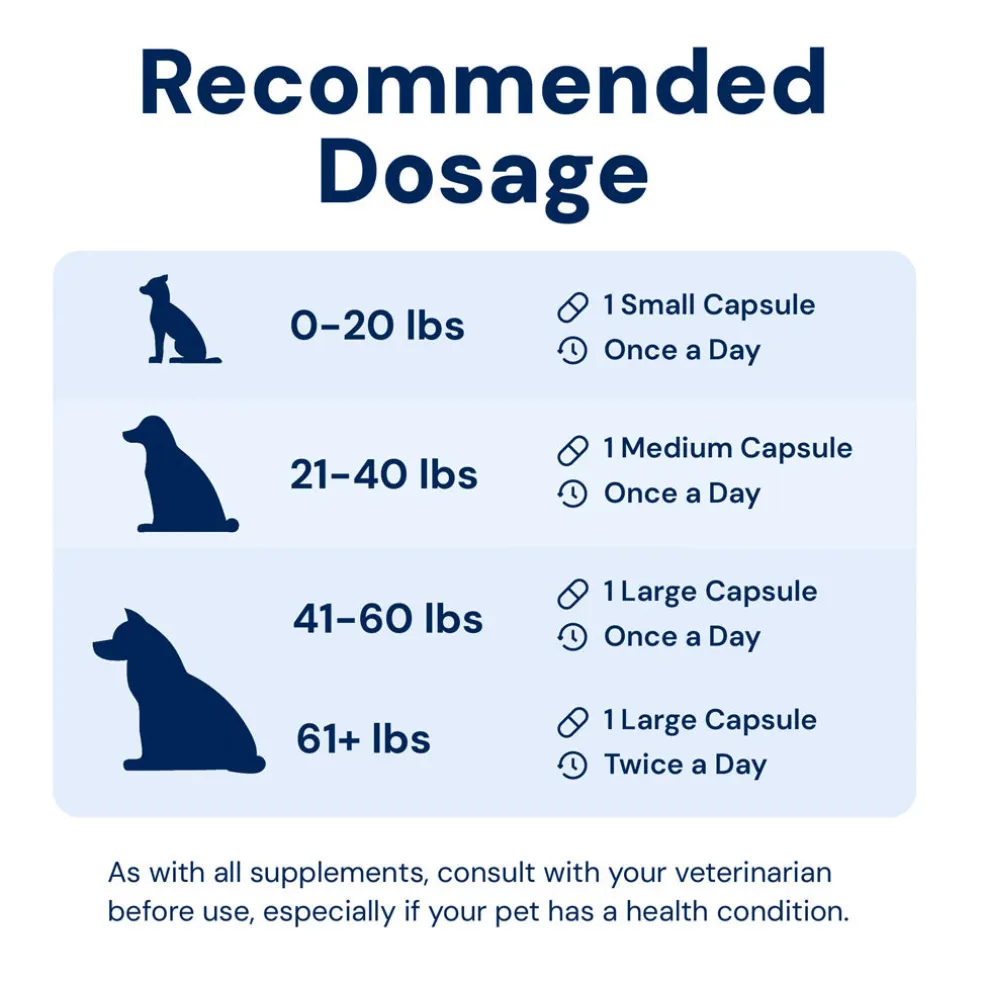 Doggy Biome GMP Gut Maintenance Plus for Dogs, 60-count