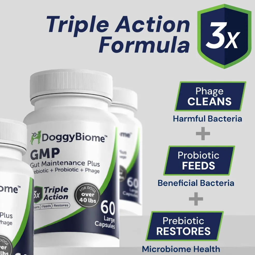 Doggy Biome GMP Gut Maintenance Plus for Dogs, 60-count