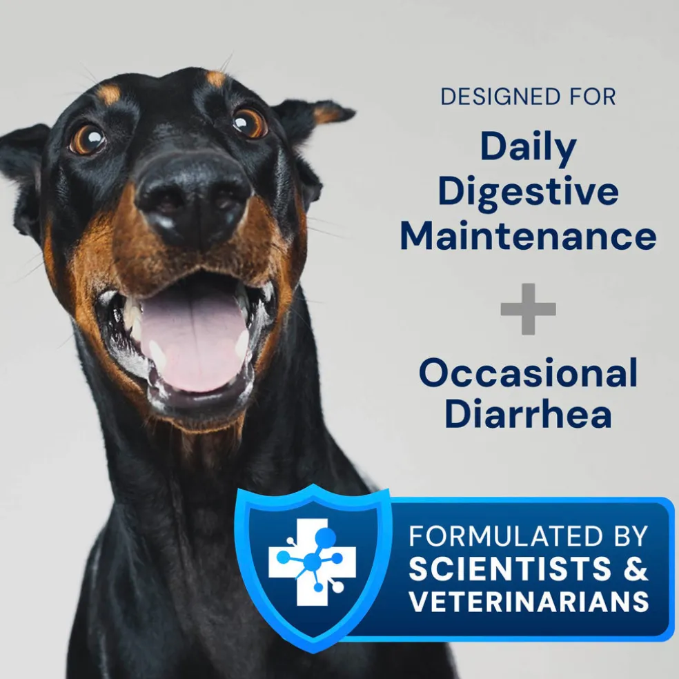 Doggy Biome GMP Gut Maintenance Plus for Dogs, 60-count