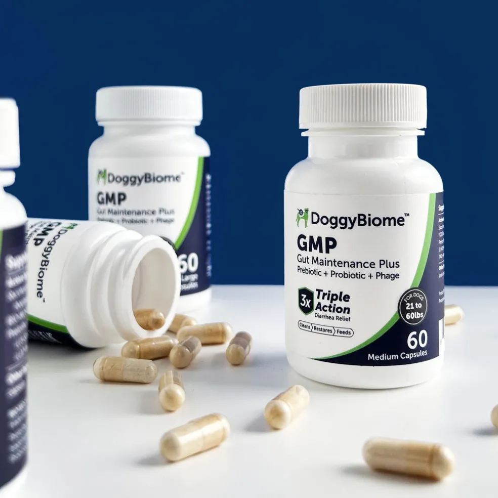 Doggy Biome GMP Gut Maintenance Plus for Dogs, 60-count