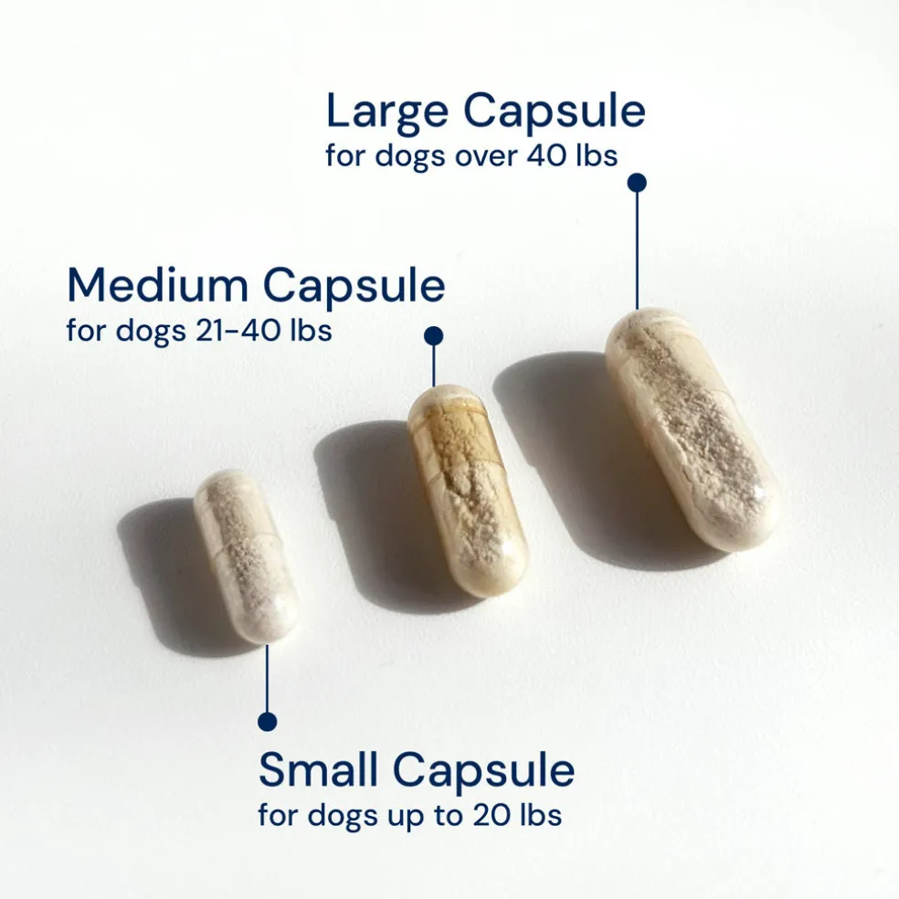 Doggy Biome GMP Gut Maintenance Plus for Dogs, 60-count