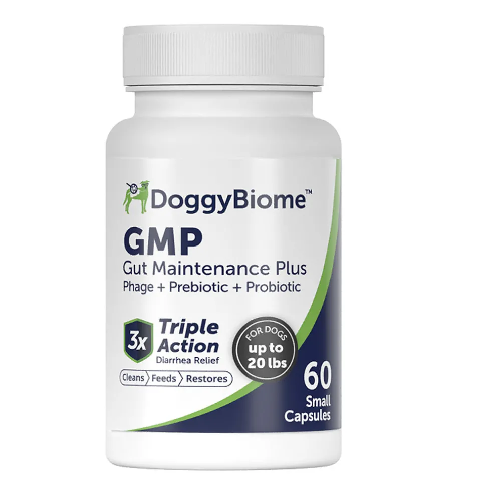 Doggy Biome GMP Gut Maintenance Plus for Dogs, 60-count