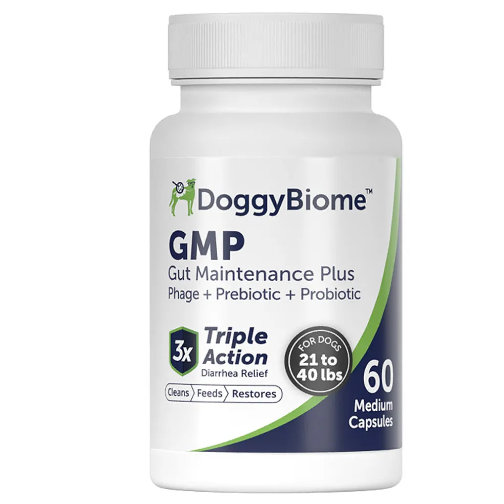 Doggy Biome GMP Gut Maintenance Plus for Dogs, 60-count