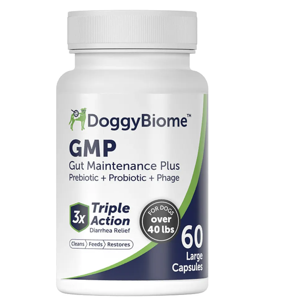 Doggy Biome GMP Gut Maintenance Plus for Dogs, 60-count