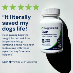 Doggy Biome GMP Gut Maintenance Plus for Dogs, 60-count