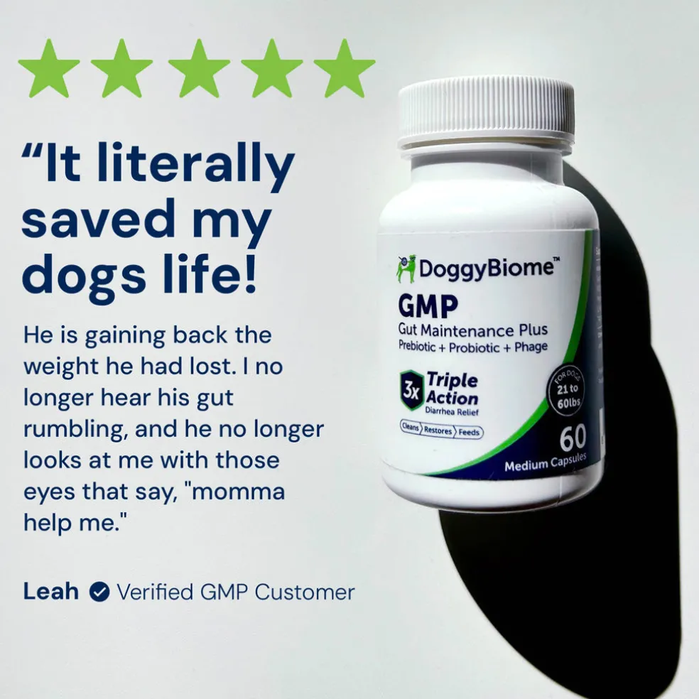 Doggy Biome GMP Gut Maintenance Plus for Dogs, 60-count