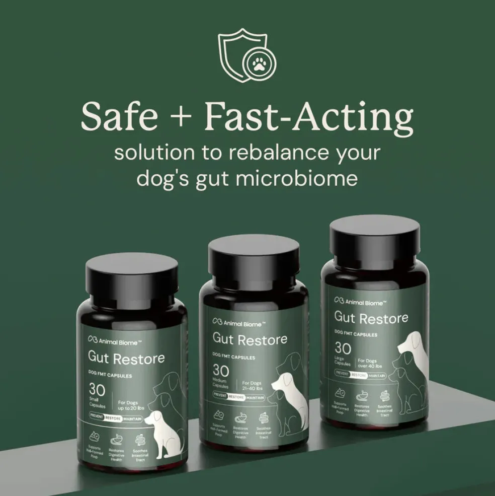 Doggy Biome Gut Restore Supplement FMT Capsules for Dogs