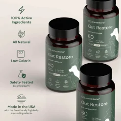 Doggy Biome Gut Restore Supplement FMT Capsules for Dogs