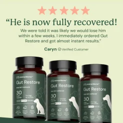 Doggy Biome Gut Restore Supplement FMT Capsules for Dogs