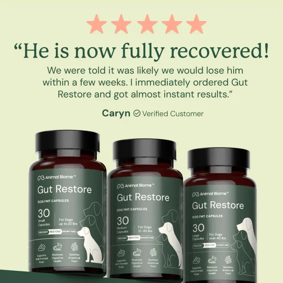 Doggy Biome Gut Restore Supplement FMT Capsules for Dogs