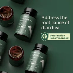 Doggy Biome Gut Restore Supplement FMT Capsules for Dogs