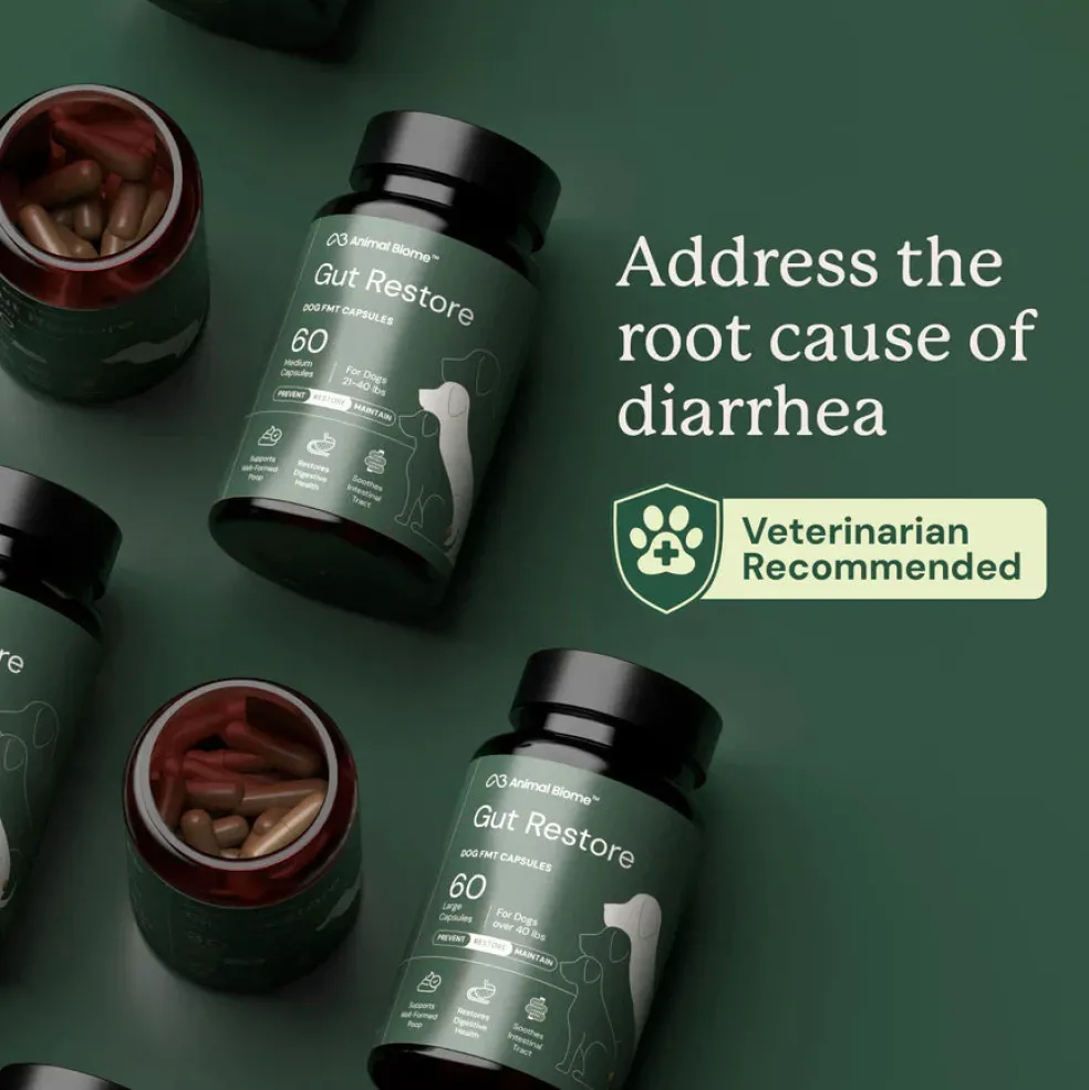 Doggy Biome Gut Restore Supplement FMT Capsules for Dogs
