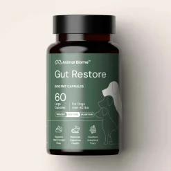 Doggy Biome Gut Restore Supplement FMT Capsules for Dogs