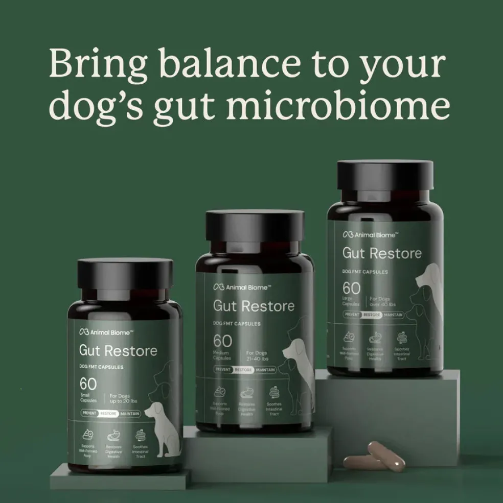 Doggy Biome Gut Restore Supplement FMT Capsules for Dogs