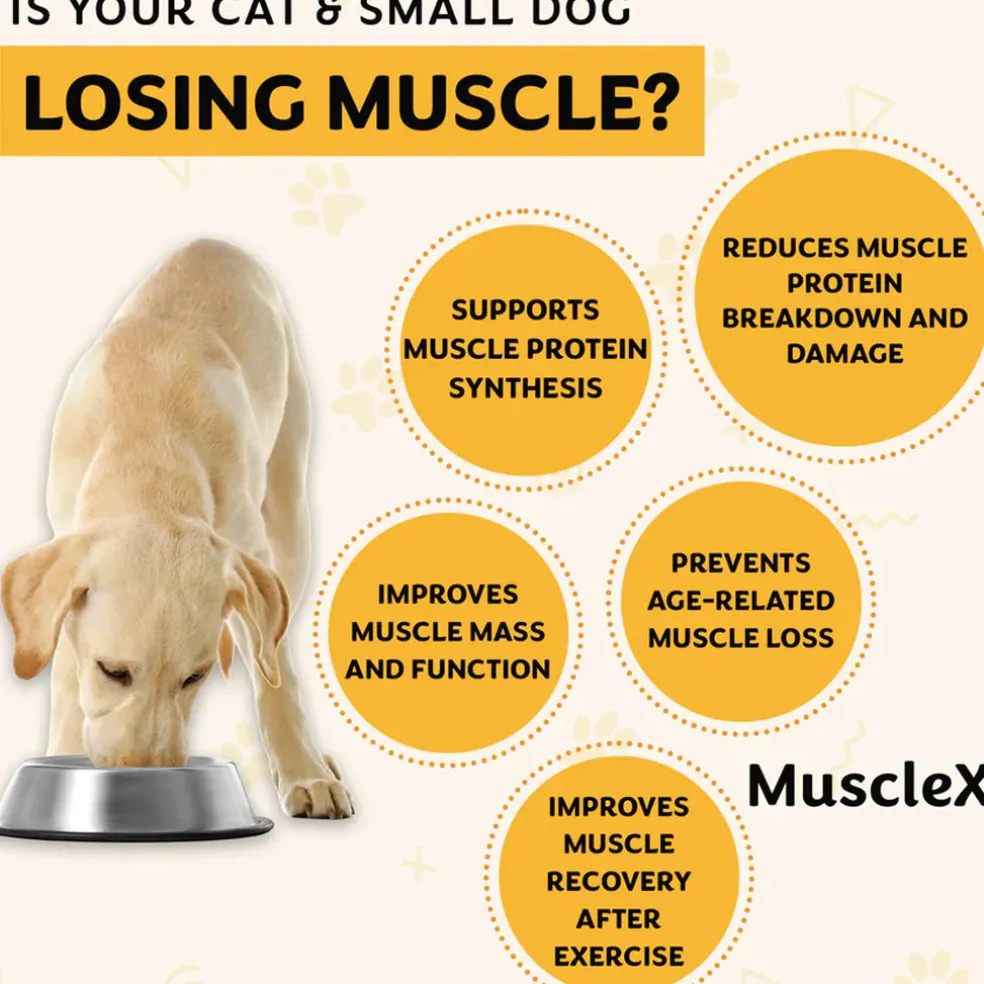 Doggy Naturals MuscleX Advance Muscle Development for Dogs & Cats, 90 capsules