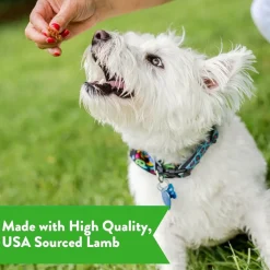 Dogswell Gut Health Lamb Jerky Treats for Dogs