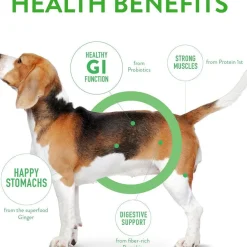 Dogswell Gut Health Mini Jerky Lamb Treats for Dogs 4 oz