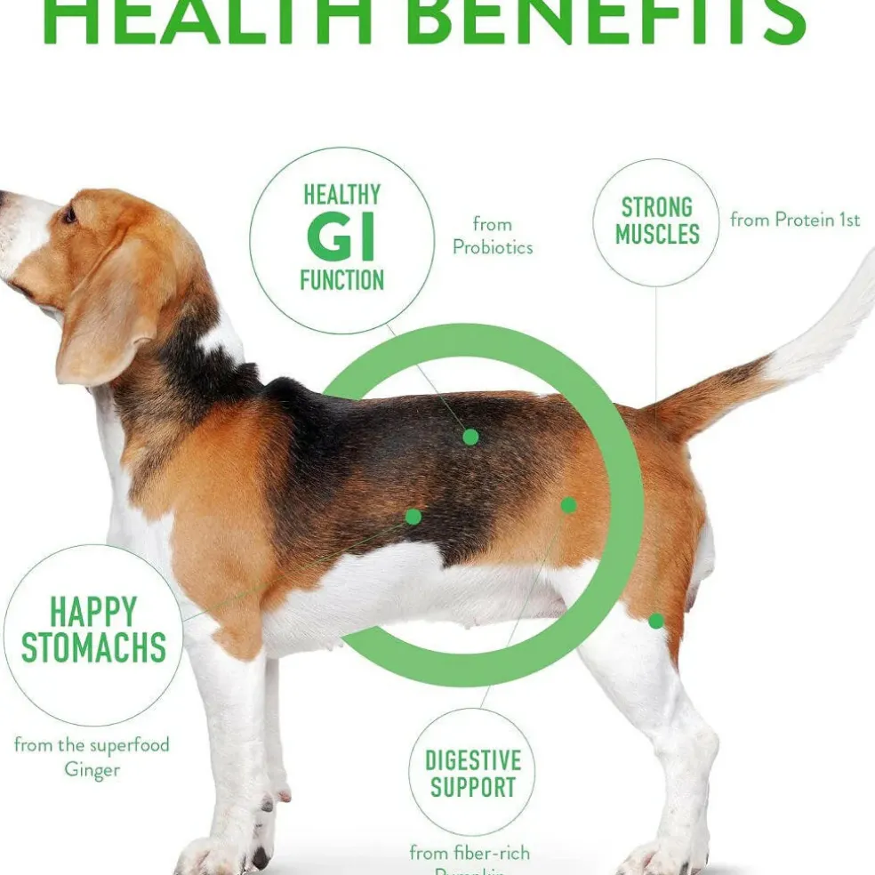 Dogswell Gut Health Mini Jerky Lamb Treats for Dogs 4 oz