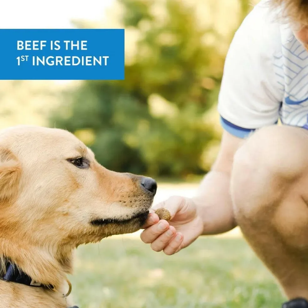 Dogswell Hip & Joint Beef Recipe Meatballs Treats for Dogs 14 oz