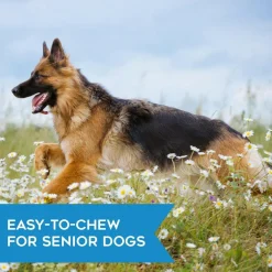Dogswell Hip & Joint Soft & Chewy Chicken Flavored Treats 14 oz
