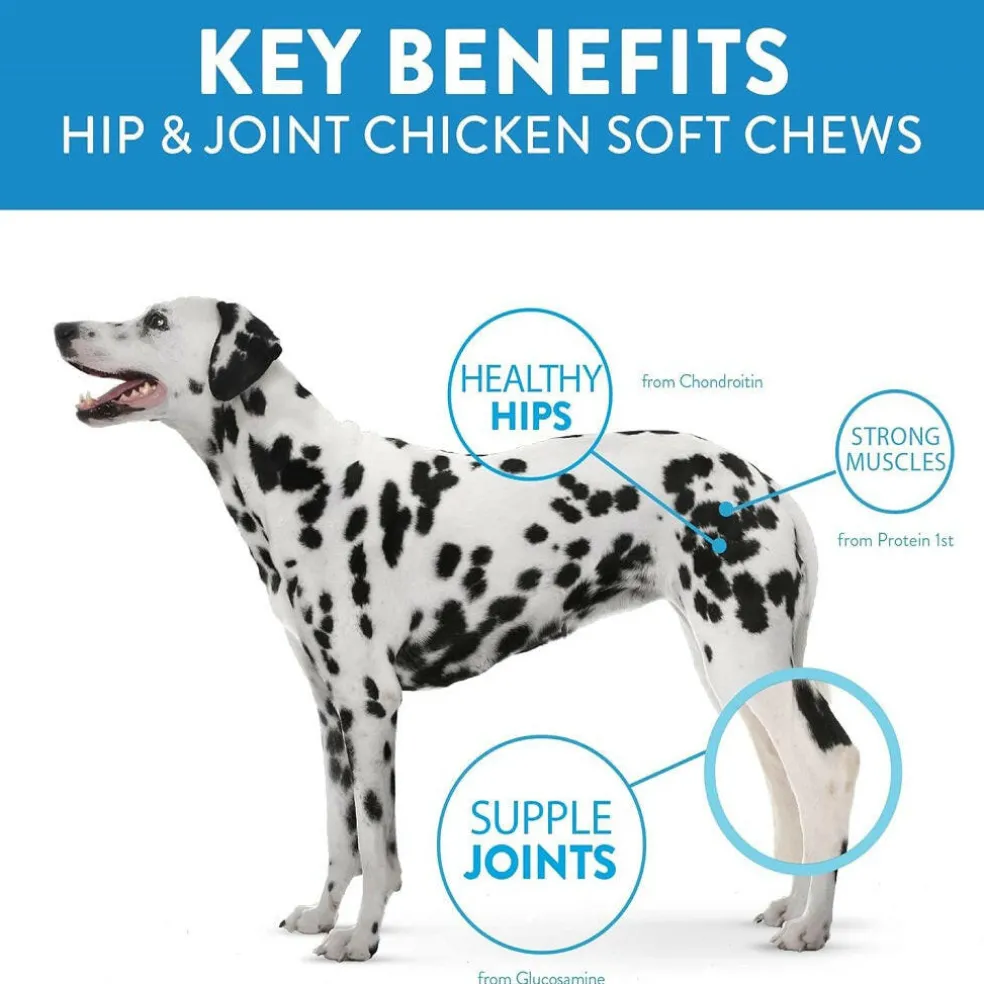 Dogswell Hip & Joint Soft & Chewy Chicken Flavored Treats 14 oz