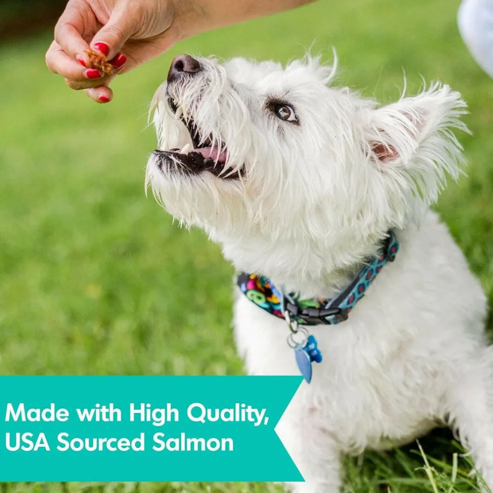 DogswellSkin & Coat Grain-Free Salmon Mini Jerky Bites for Dogs 4 oz
