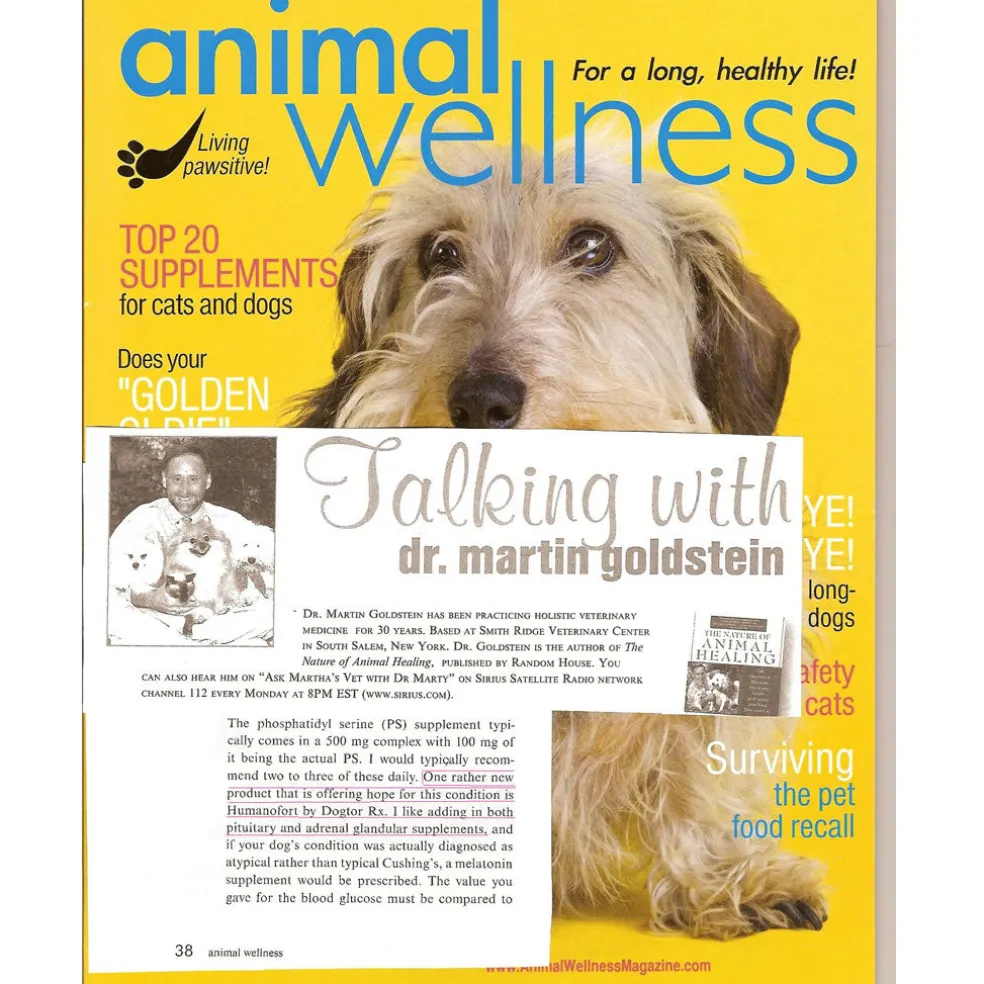 DogtorRx Gut Defense Natural Supplement for Dogs of All Ages, 60 Tablets