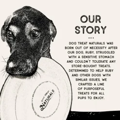 Dog Treat Naturals Superfood Sticks Pork & Peach Dog Treats (10 oz)