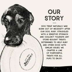 Dog Treat Naturals Superfood Sticks Chicken & Cranberry Dog Treats (10 oz)