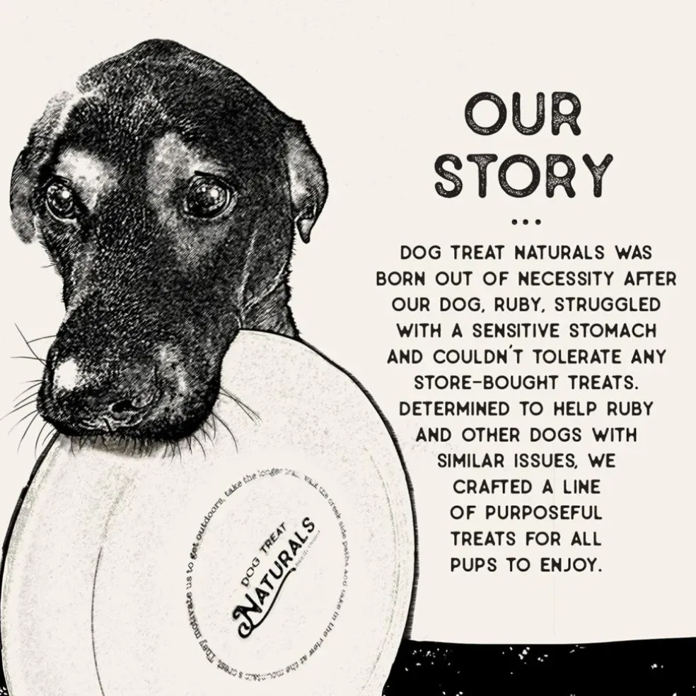 Dog Treat Naturals Superfood Sticks Chicken & Cranberry Dog Treats (10 oz)