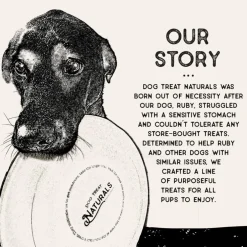 Dog Treat Naturals Superfood Sticks Lamb & Date Dog Treats (10 oz)