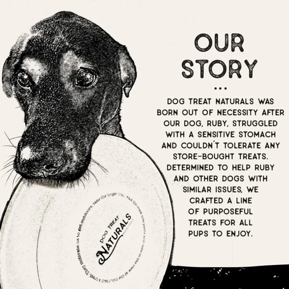 Dog Treat Naturals Superfood Sticks Lamb & Date Dog Treats (10 oz)