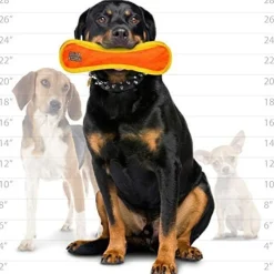 Duraforce Bone Tiger Dog Toy Orange & Yellow