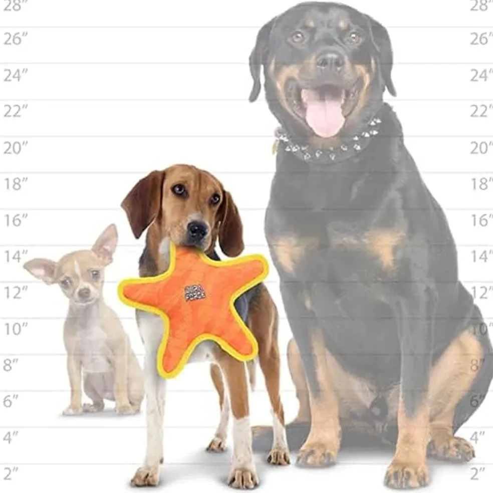 Duraforce Star Tiger Orange & Yellow Dog Toy
