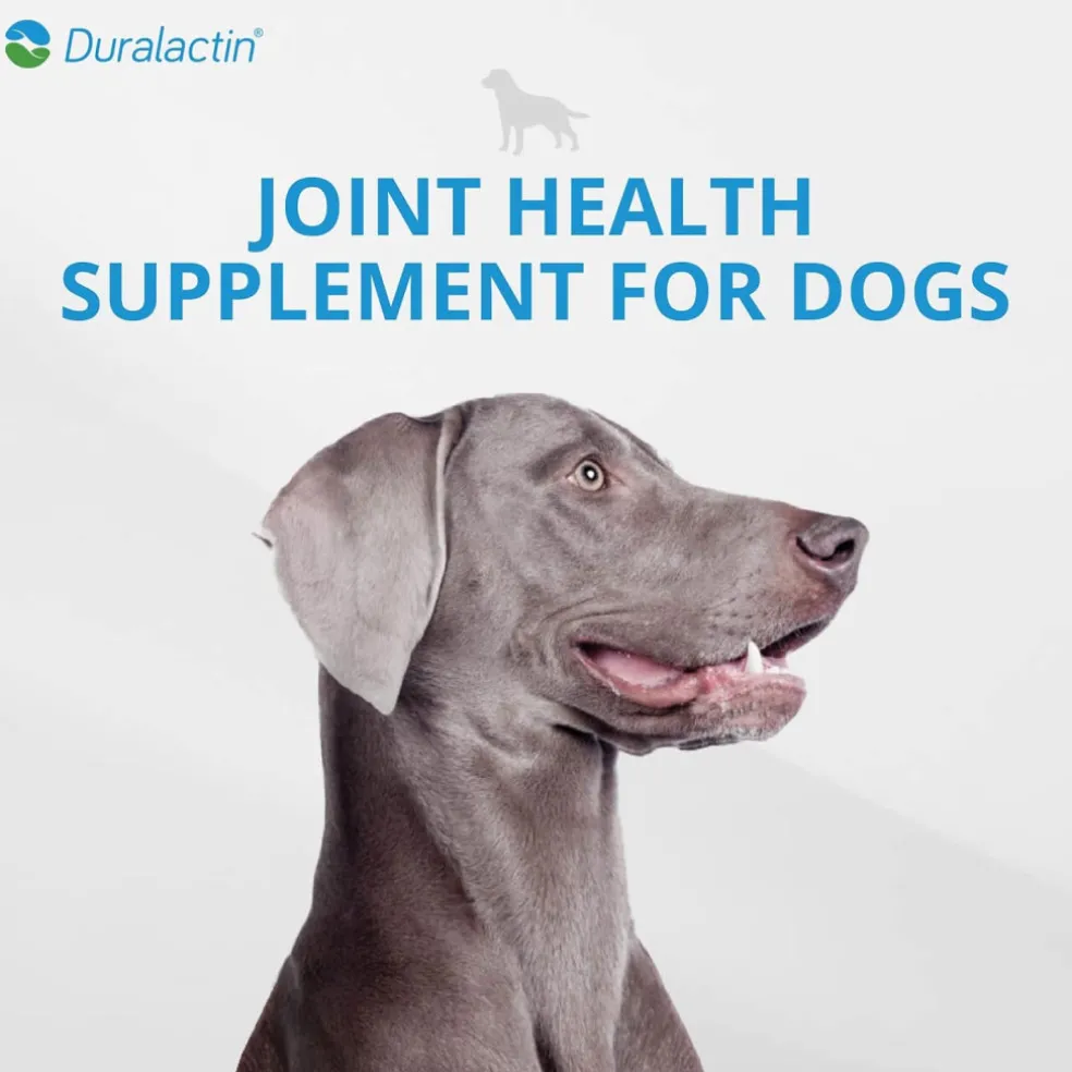 Duralactin Canine Chewable for Dogs
