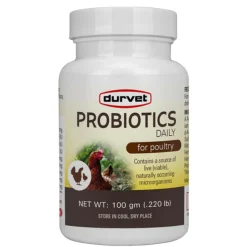 Durvet Probiotics Daily for Poultry (100 g)