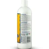 Earthbath Dirty Dog Sweet Orange Oil Shampoo for Dogs (16 oz)