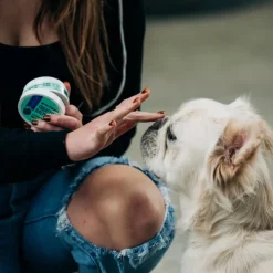 Earthbath Treatment Balm for Cracked Paws Noses & Hot Spots For Dogs & Cats (2.2 oz)