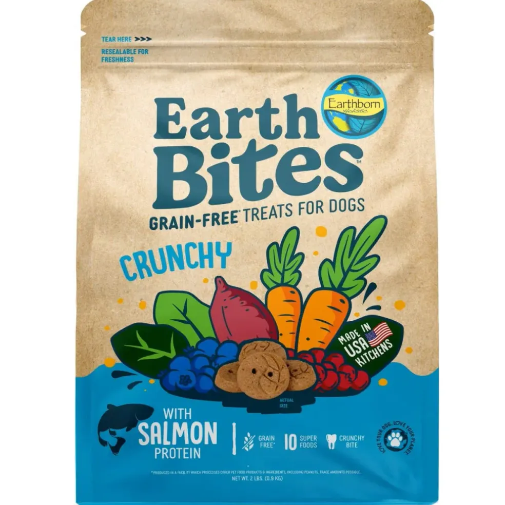Earthborn Holistic EarthBites Salmon & Pumpkin Crunchy Treats For Dog