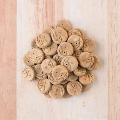 Earthborn Holistic EarthBites Salmon & Pumpkin Crunchy Treats For Dog