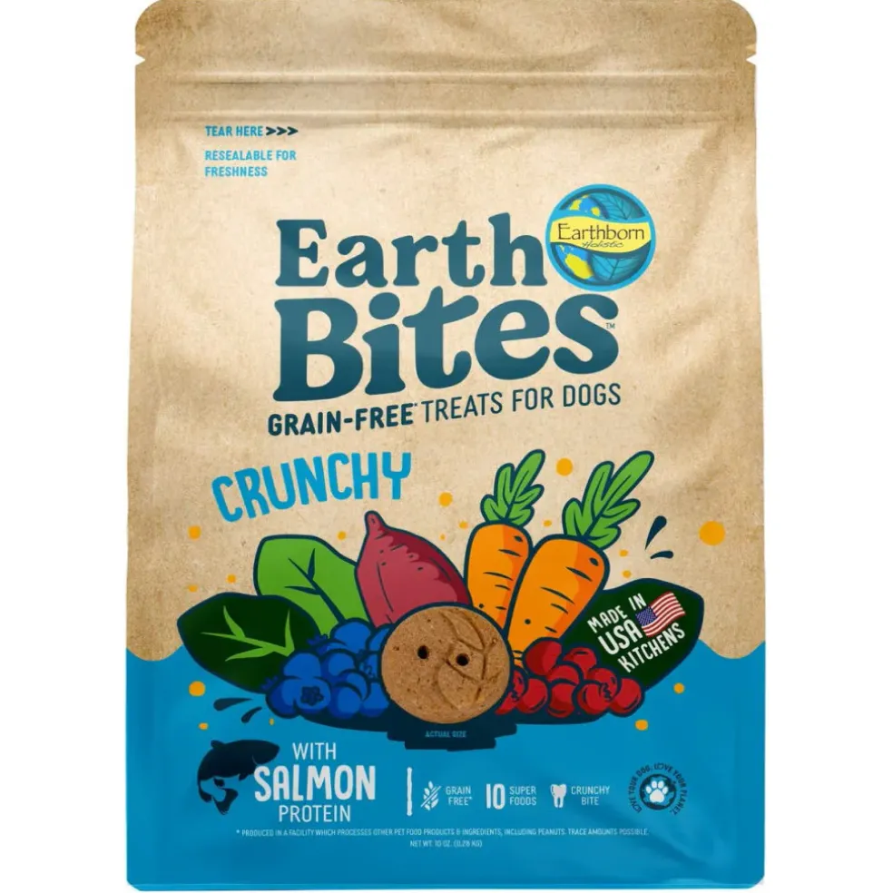 Earthborn Holistic EarthBites Salmon & Pumpkin Crunchy Treats For Dog